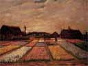 Bulb Field<br />Vincent Van Gogh c. 1883