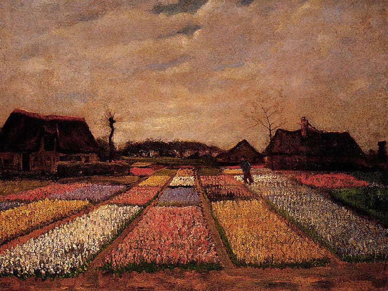 Bulb Field<br />Vincent Van Gogh c. 1883 wallpaper