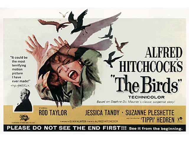 The Birds<br />1963 wallpaper