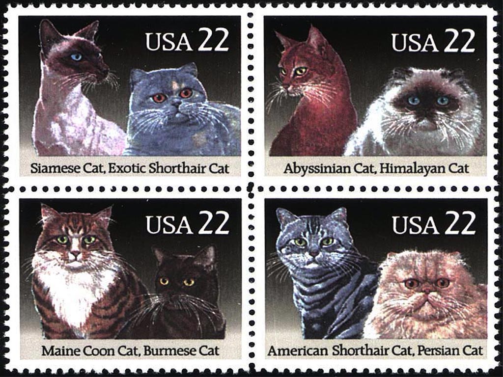 Cat Stamps wallpaper
