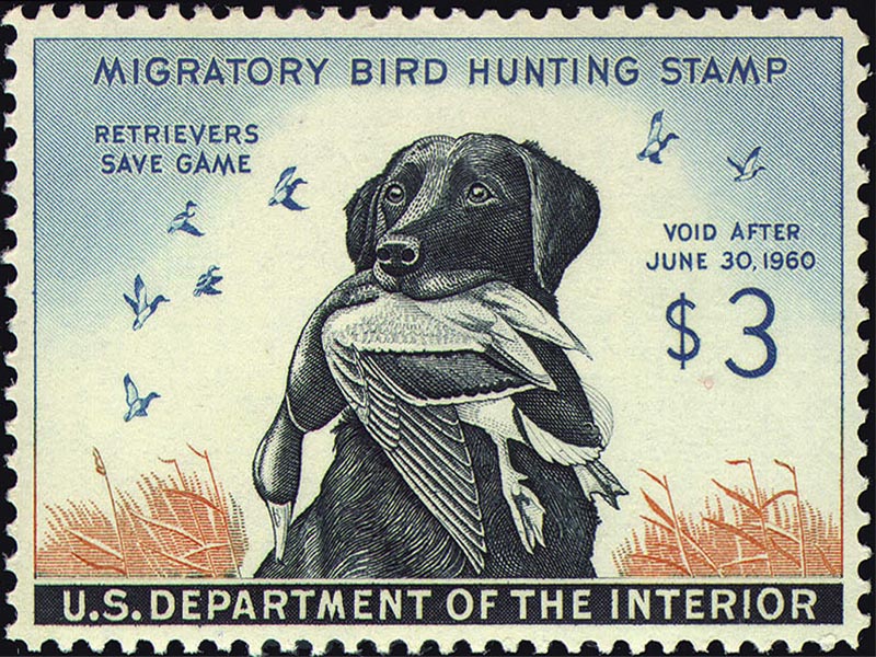 1959 Duck Stamp wallpaper