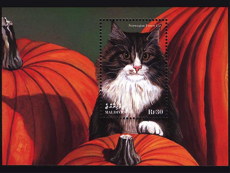 Norwegian Forest Cat Stamp wallpaper