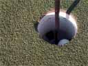 Golf Ball in Hole