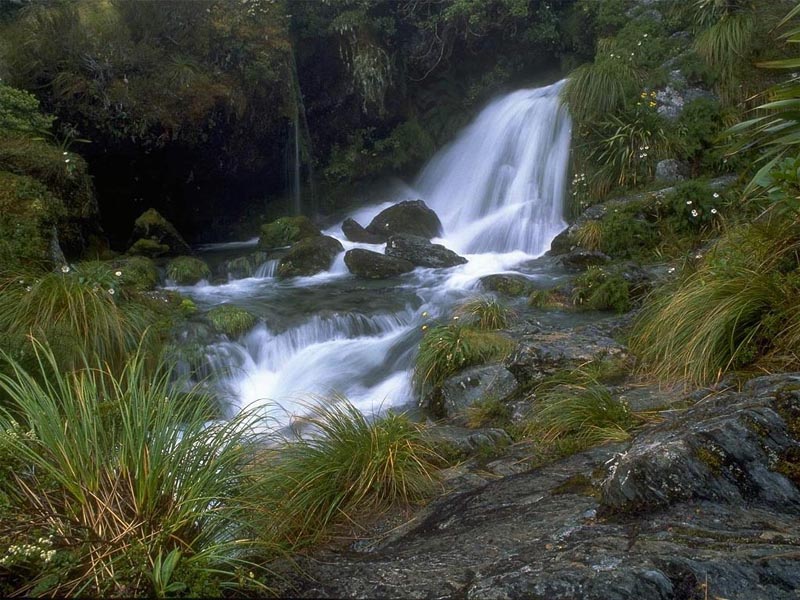 New Zealand Waterfall wallpaper