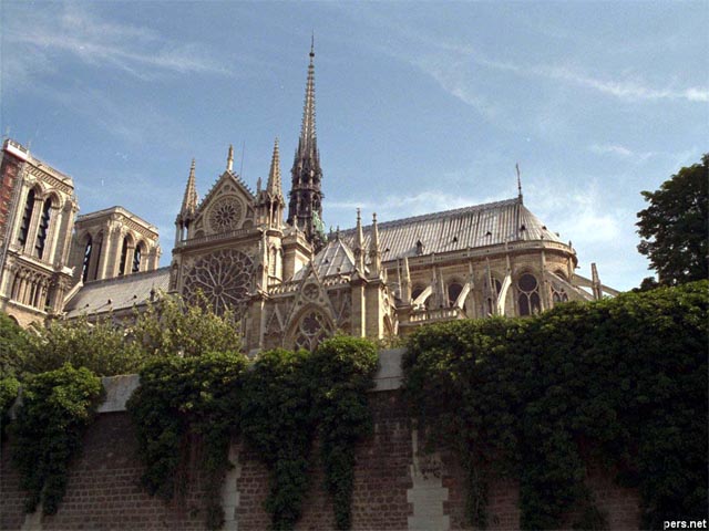 Notre Dame in Paris wallpaper