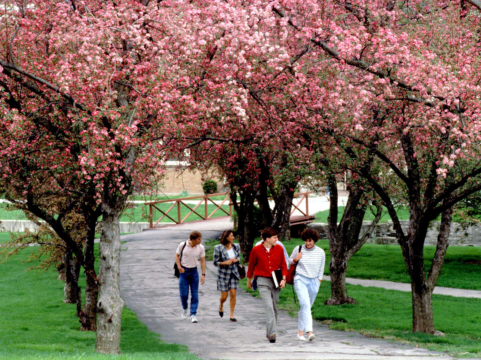 Ohio Wesleyan University<br />Spring Campus Walk wallpaper