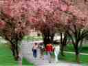 Ohio Wesleyan University<br />Spring Campus Walk