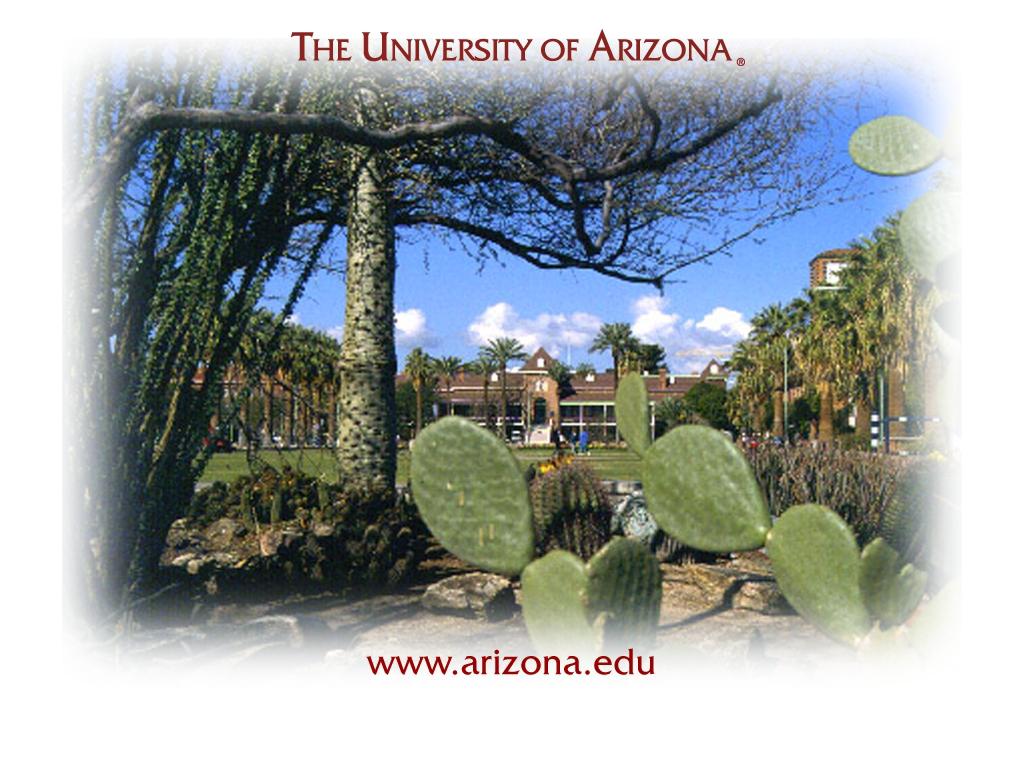 University of Arizona<br />Joseph Wood Krutch Memorial Garden wallpaper