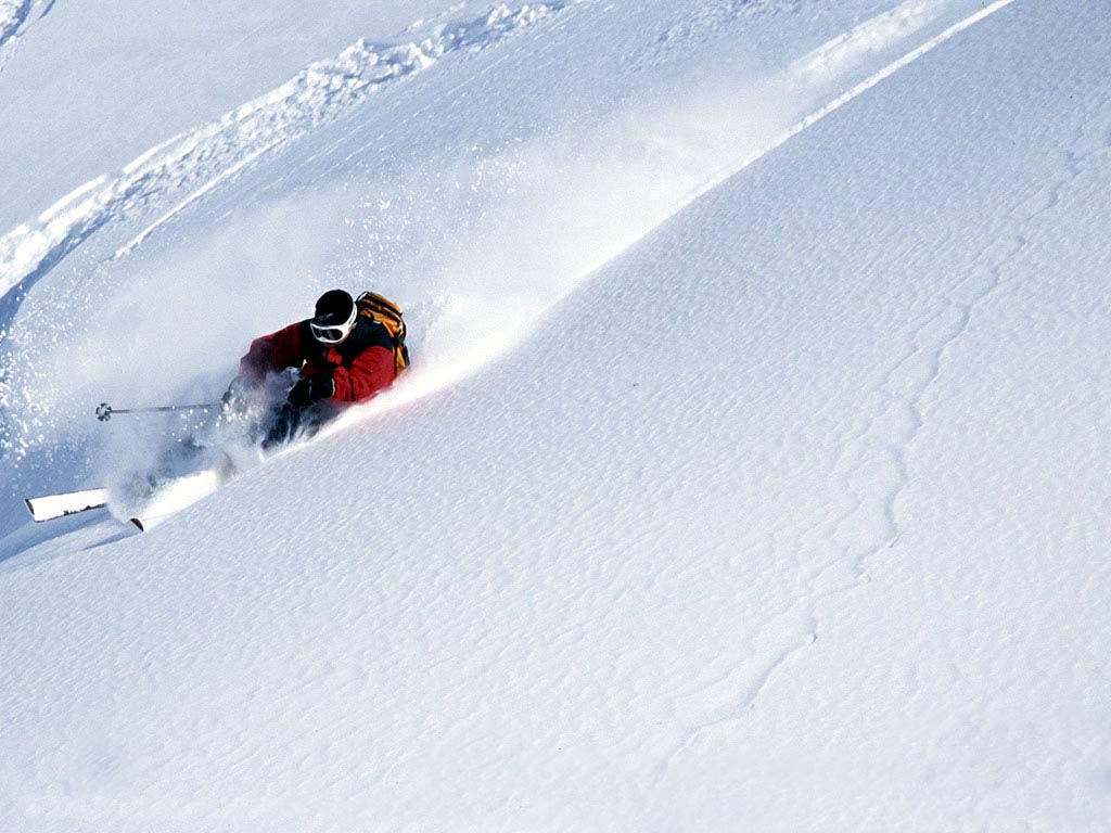 Skier in Powder wallpaper